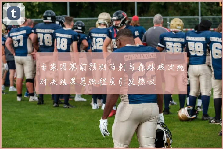 专家团赛前预测马刺与森林狼次轮对决结果悬殊程度引发热议